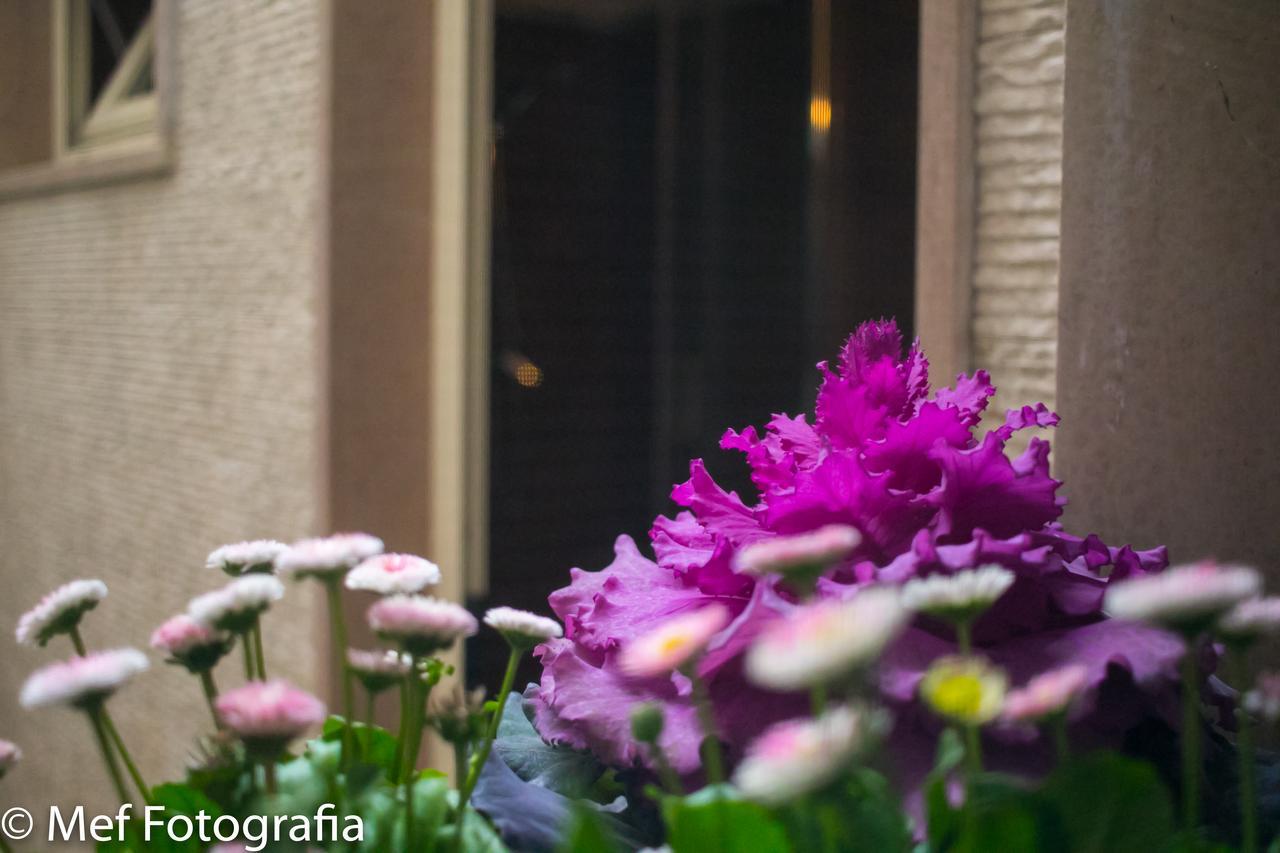 Miklu Luxury Suite Lecce Dış mekan fotoğraf